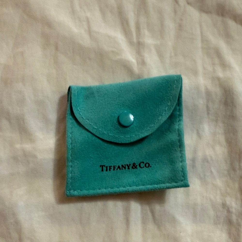 Tiffany & Co. Robin's Egg Blue Suede Jewelry Pouch
